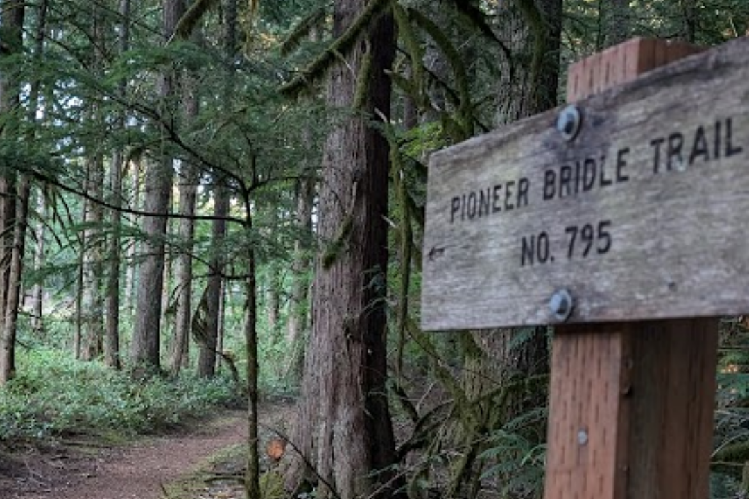Trailwork: Lower Pioneer Bridle Trail