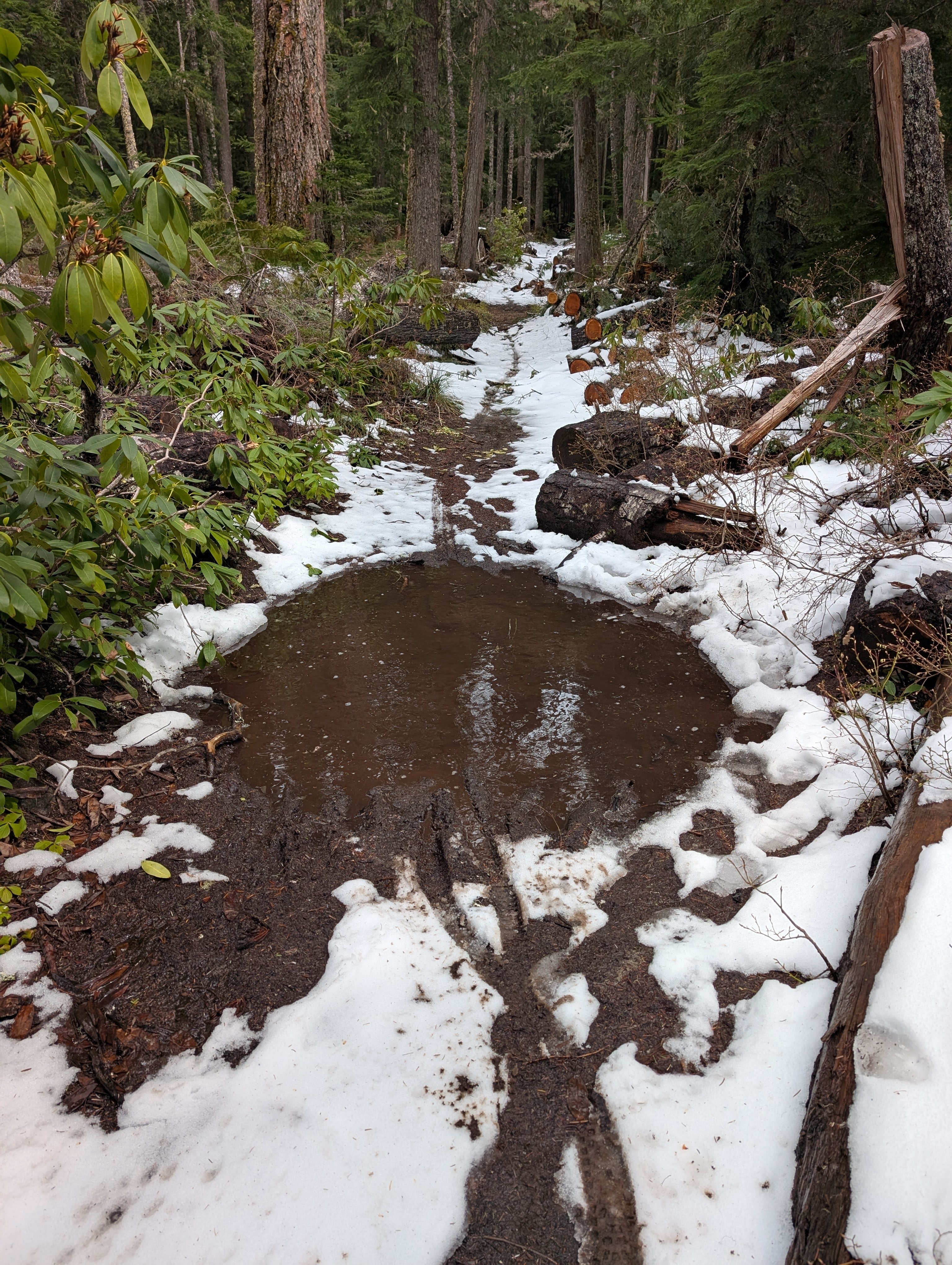 Deep mud pit on Crosstown