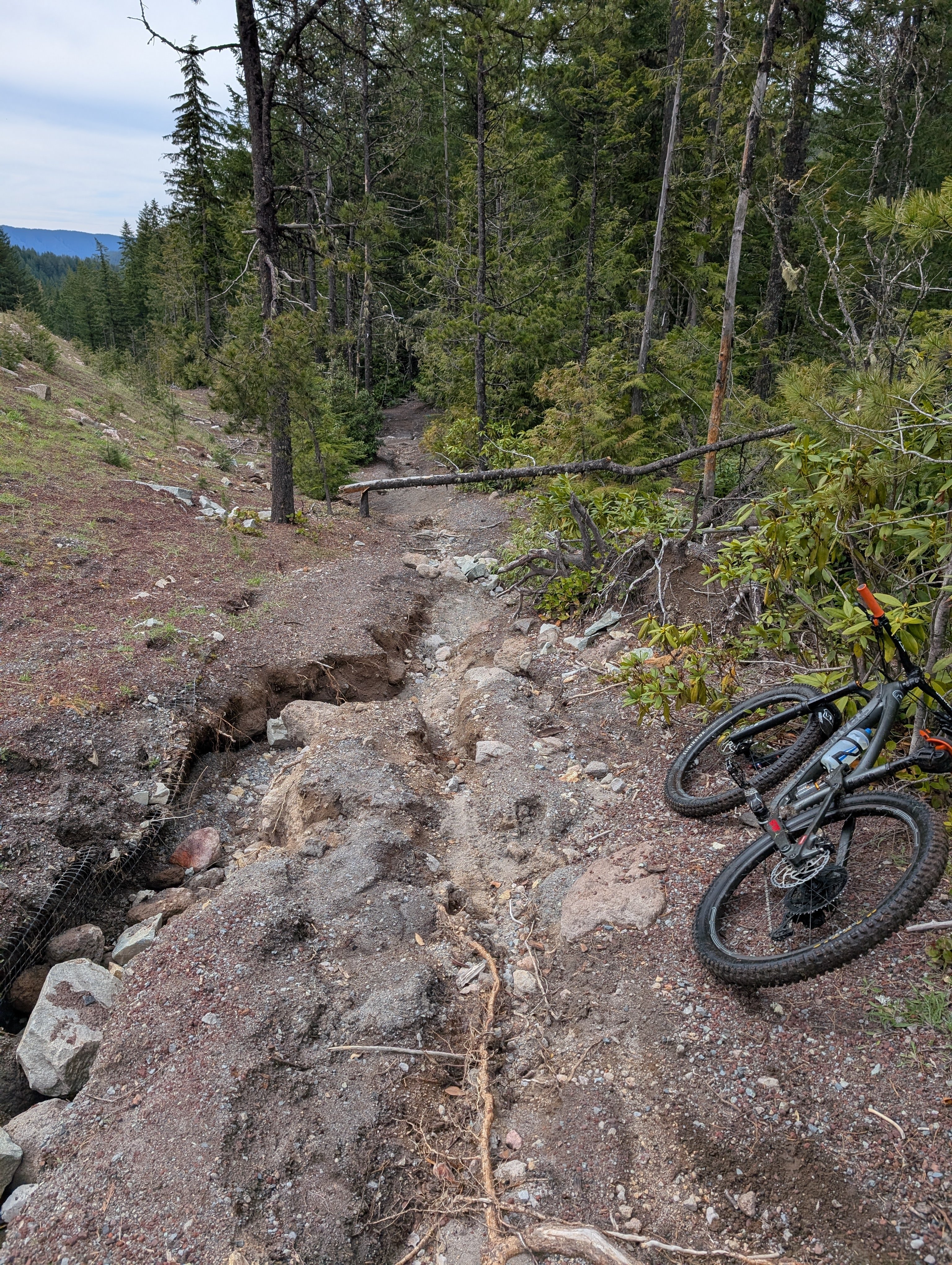 Pioneer Bridle Washout!