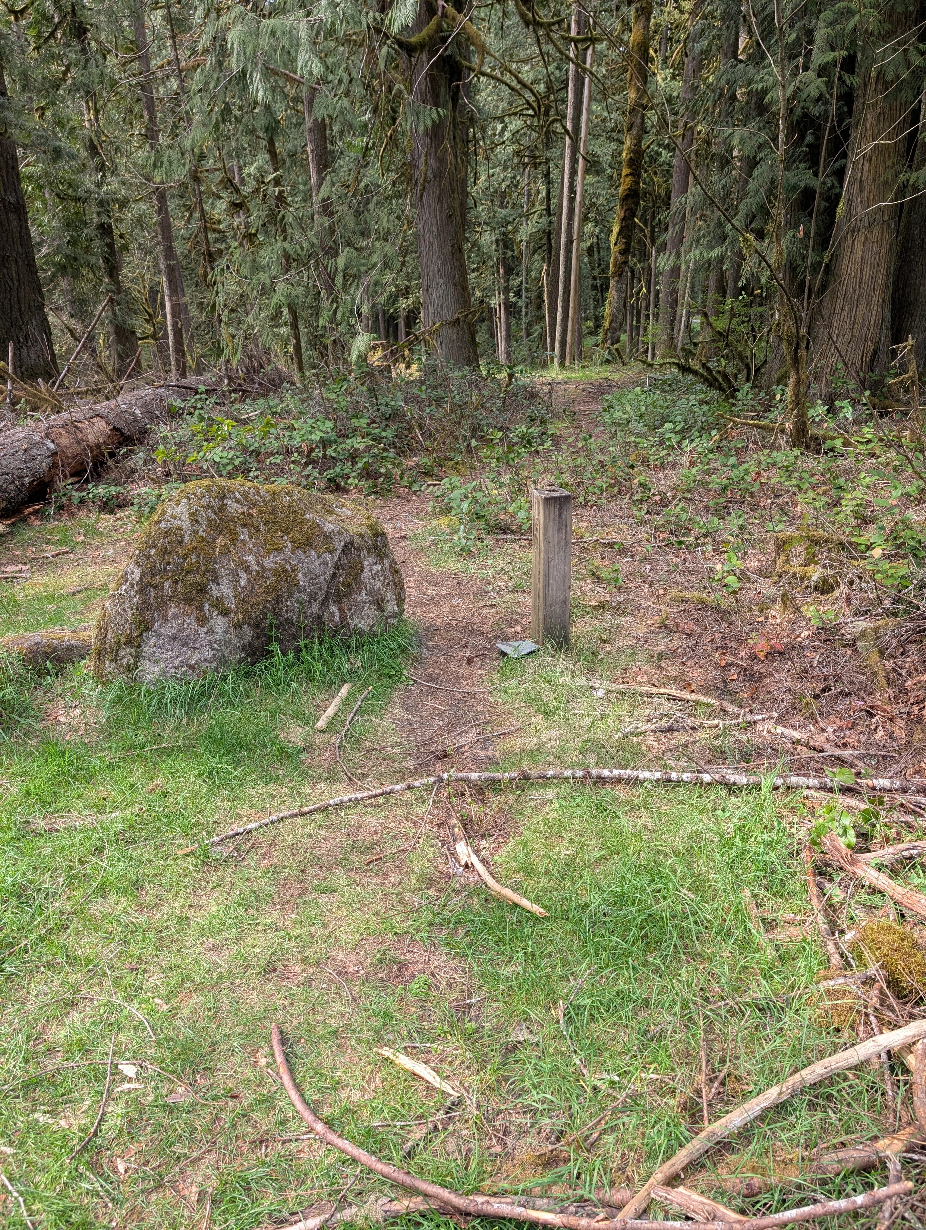 Trail entrance at Toll Gate TH